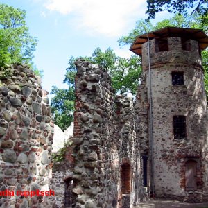 burgruine landskron