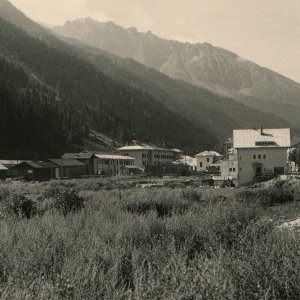 Brenner 1953