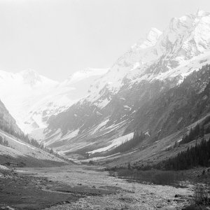 Zillertal Böckachalm im Floitengrund, 14. Juli 1919