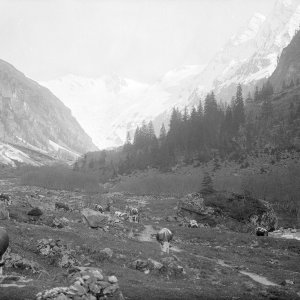 Zillertal, Floitengrund Baumgartenalm mit Lawinenkegel, 14. Juli 1919