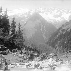 Zillertal, Floitengrund, Tristenbach-Alm, 14. Juli 1919