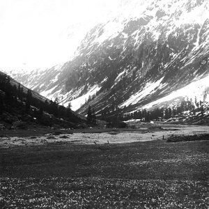 Zillertal, Schlegeisgrund, 14. Juli 1919