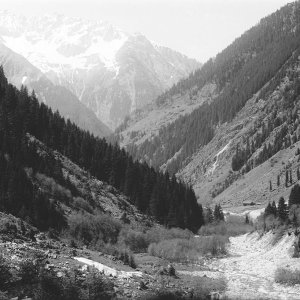 Zillertal, Floitengrund am 14. Juli 1919