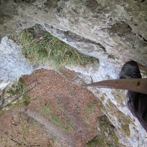 auf der hohen Leiter
