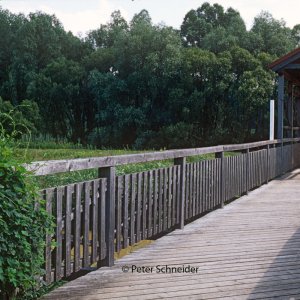 Brücke von Andau