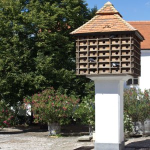 Cselley-Mühle