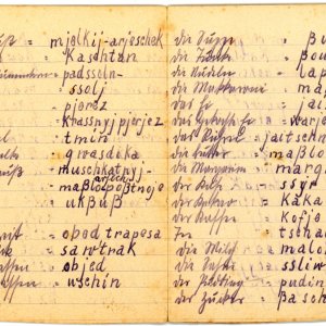 Handgeschriebenes Wörterbuch