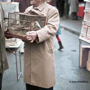 Vogelhändler Vogelmarkt Paris