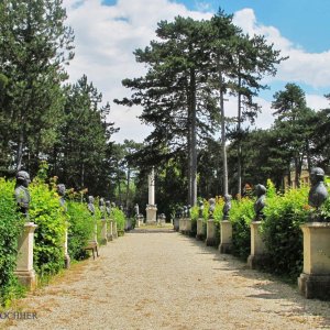 Lauter Helden auf dem Heldenberg in Klein-Wetzdorf