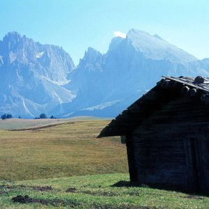 Dolomiten von der Seiseralm