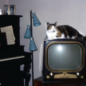 Fernseher im Wohnzimmer 1966