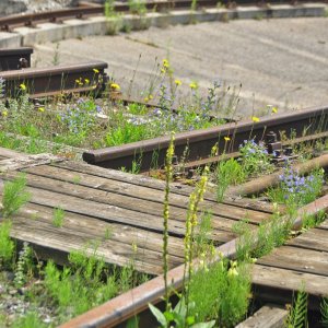 Südbahnmuseum Mürzzuschlag (Steiermark)