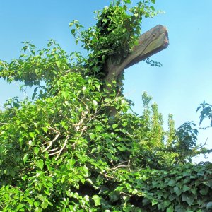 Friedhofskreuz mit Blechkorpus Hafnerbach bei St. Pölten