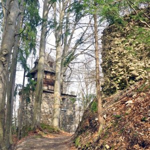 Burg Reifnitz (Kärnten)