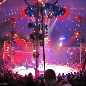 Manege des Zirkus Roncalli