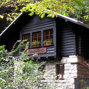 Sächsische Schweiz - Beim Amselfall