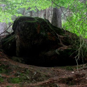 Nationalpark Sächsische Schweiz
