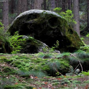Nationalpark Sächsische Schweiz
