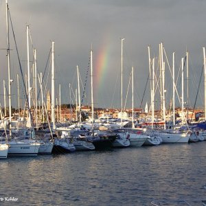 Isola