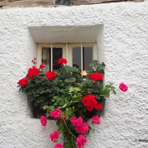 Partschins Fenster