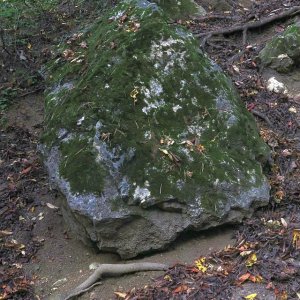 Der Teufelsstein vom Michelberg