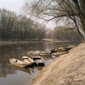 Donau im Marchfeld