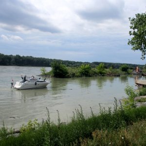 Orth an der Donau