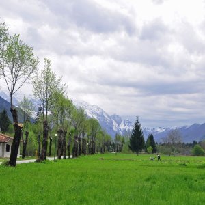 Resia-Tal (Friaul)