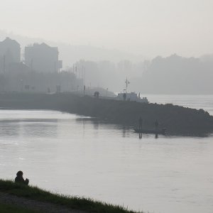 Nebel im Hafen von Hainburg
