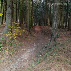 Der TOTE MANN / Hohlweg