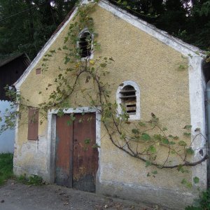 Kellergasse am Eichberg (Niederösterreich)