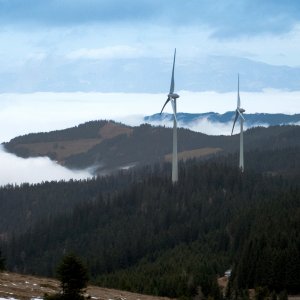 altes-almhaus-windpark