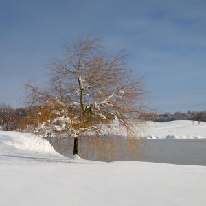 Eugendorf - Winterlandschaft  1.1.2015