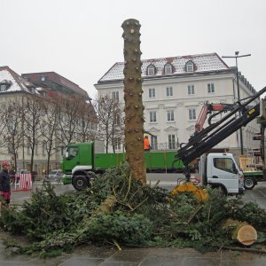 Dienstschluss für den Christbaum