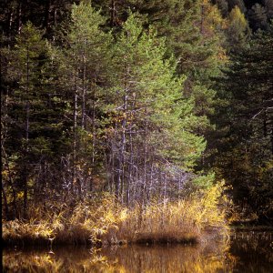 Herbst im Gurgltal