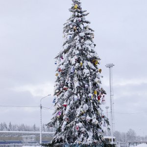 Neujahrbaum 2015