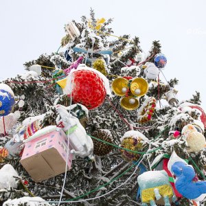 Neujahrbaum