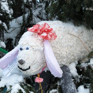 Schmuck am Neujahrbaum