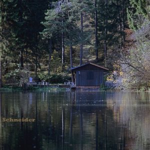 Am Starkenberger See