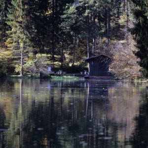 Am Starkenberger See