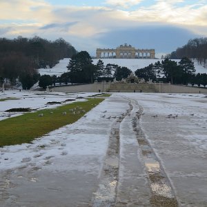 Tauwetter in Schönbrunn