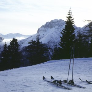 Schifahren in den Tiroler Bergen