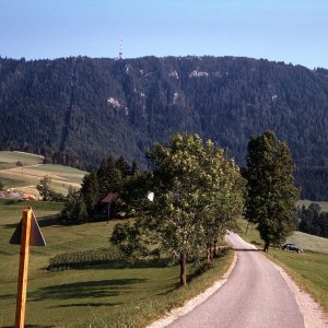 Suche: Motiv Steiermark?