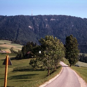 Suche: Motiv Steiermark?