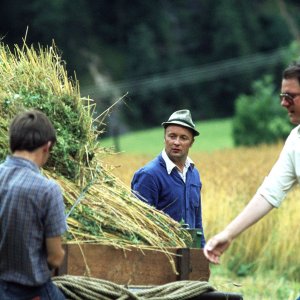 Landwirtschaft Kärnten