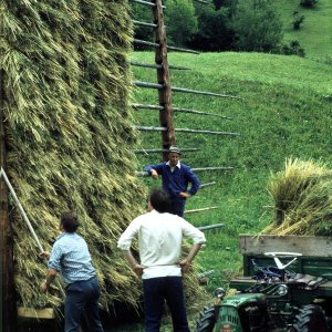 Landwirtschaft Kärnten - Harpfe