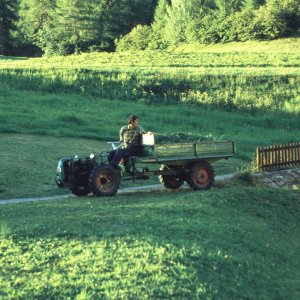 Landwirtschaft Kärnten