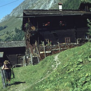 Landwirtschaft Kärnten
