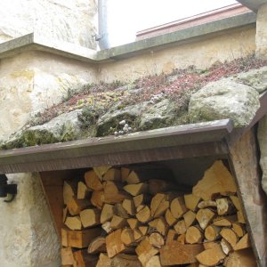 Münzenberg Quedlinburg