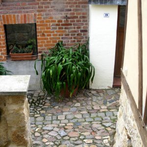 Münzenberg Quedlinburg